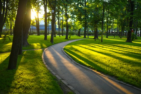 Photo of Copou Park in Iasi Romania during summer sunrise .