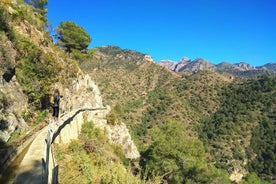 Frigiliana Small-Group Hike and Wine Tasting Tour from Malaga