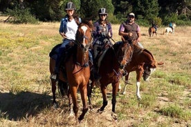 Picknick zu Pferd in Rom