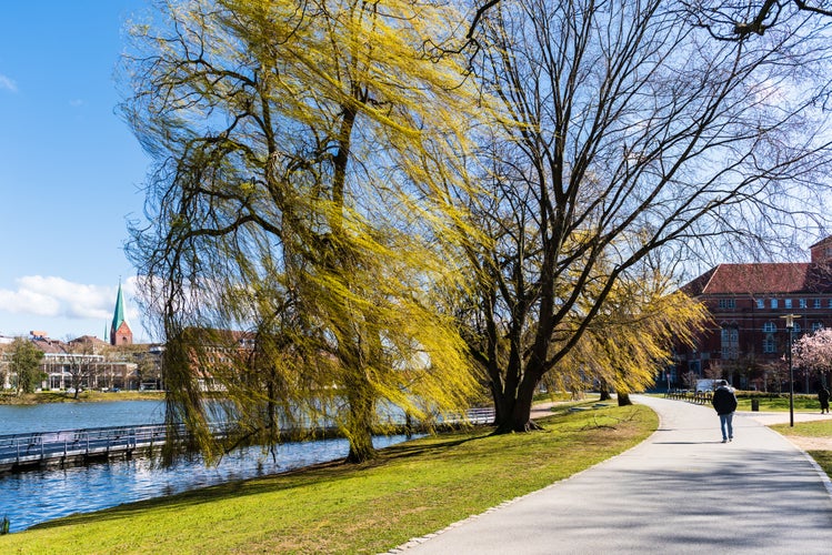 Photo of The parks around the lake Kleiner Kiel on a cold spring day