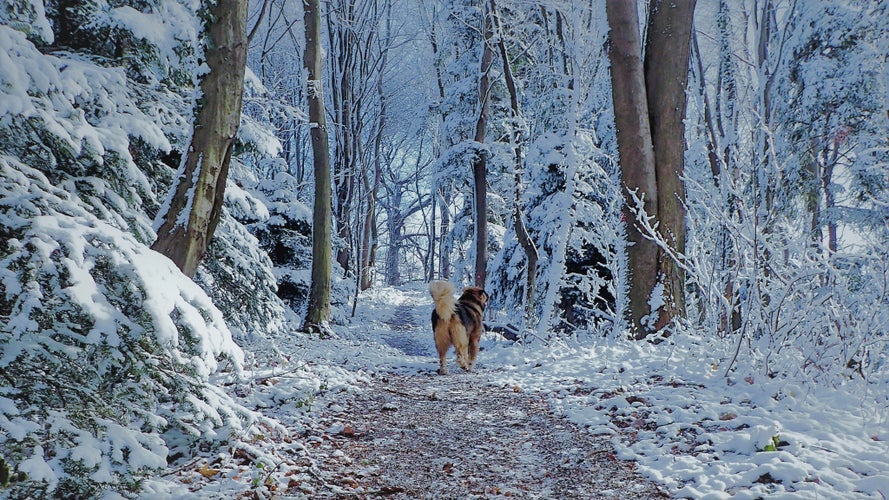 croatia in January.jpg