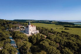 Château Capitoul