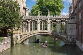 Tour guidato privato di un'intera giornata a Cambridge