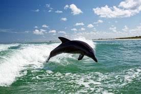 Excursión en barco por Side Dolphin Island