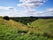 Barton Hills National Nature Reserve, Barton-le-Clay, Central Bedfordshire, East of England, England, United Kingdom