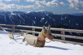 Photo of  Passer River, Alps mountains in winter time in Merano.