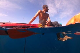 Experiência de 3 horas de caiaque e mergulho com snorkel em Tenerife