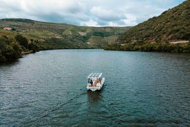 Experiencia en barco solar por el Duero con cata de vinos