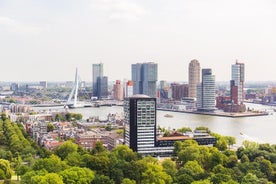 Excursion d'une journée à Rotterdam, Delft et La Haye au départ d'Amsterdam