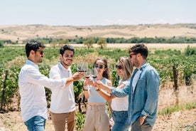 Tour privado por la ciudad de Toledo y cata de vinos desde Madrid