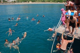 Kant: Dolphin Island-boottocht met schuimfeest en lunch