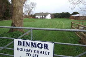 Dinmor