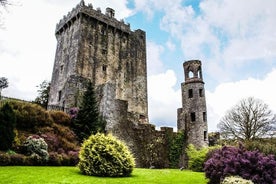 Cobh cruise excursion, Blarney, Cork & Kinsale. Car or Minibus.