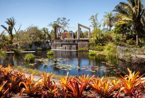 photo of Botanical Garden of Naples .