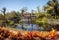 photo of Botanical Garden of Naples .