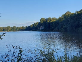 Am Stadtwaldsee (Uni-Wildnis)