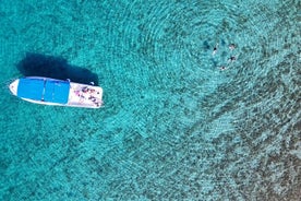 Halvdagars privat Blue Lagoon Island Tour i Kroatien