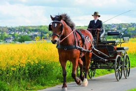 美味しい試飲付き馬車でのヴィンヤードツアー-ウンブリア