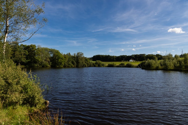 photo of view of Natural lake near Billund, Denmark.