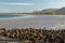 Streedagh Beach, Streedagh, Lissadill North ED, Sligo Municipal Borough District, County Sligo, Connacht, Ireland