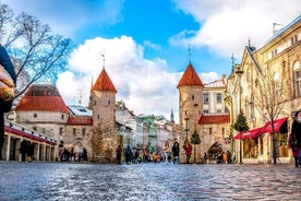 Historisches Tallinn: Exklusive private Tour mit einem lokalen Experten