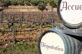 Provenza - Mont Sainte Victoire alla ricerca del tour privato del vino di Cézanne