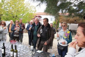 Upper Douro Valley Wine Tour