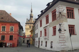 From Brasov: Sighisoara, Viscri, and Rupea Unesco Day Trip