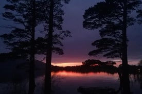 Naturspaziergang im Killarney Nationalpark