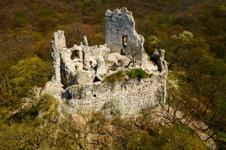 photo of view of Europe Hungary Tatabanya Vitany castle ruins. Medieval ruins.