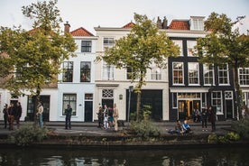 Überraschungsspaziergang von Den Haag mit einem Einheimischen