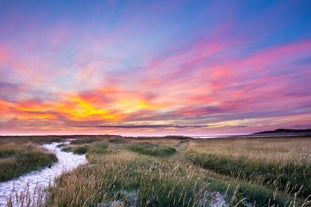 Nationaal Park Duinen van Texel