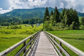 Kranjska Gora Mountain Biking