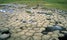 The Kirkjugólf is a historic basalt church floor near Kirkjubæjarklaustur, Iceland. 
This attraction is rated an average of 3.90 out of 5 stars by 297 visitors.