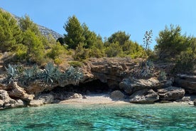 Visite privée à Bol (Zlatni Rat), Jelsa et Vrboska sur l'île de Hvar