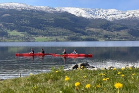 Alquiler de kayak de mar