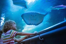 Antalya: Aquarium and Wax Museum Ticket w/Transfer Option