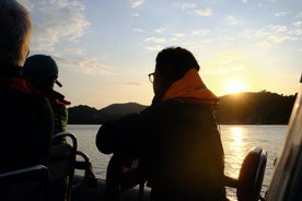 Passeio de barco Foz do Sado, Troia e Arrábida, Setúbal