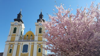 Székesfehérvár - city in Hungary