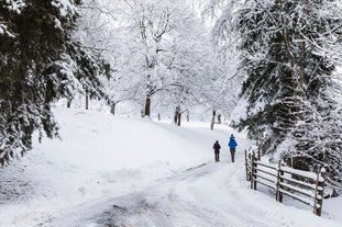 photo of Winter Cityscape of Cavalese, Val di Fiemme, Trentino Alto Adige, Italy.