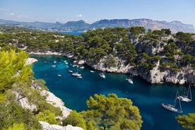 Excursión por la costa de Marsella: Excursión a Marsella y Cassis