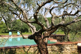 DOMAINE de MAS CARON Gîte 4* au pied du Ventoux en Provence