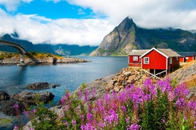 Tour fotografico e turistico estivo di 2 giorni alle Lofoten