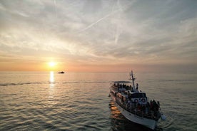 Poreč: Sunset Dolphin Safari with Dinner and Drinks