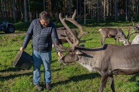 Experience Reindeer Farm and Ranua Wildlife Park in Rovaniemi