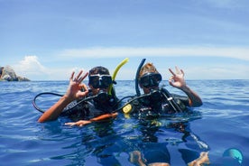 Small-Group Introductory Scuba Diving in Pula