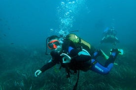 Bautismo de buceo desde barco