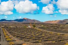 Arrecife: Timanfaya and Green Lagoon for Cruise Passengers