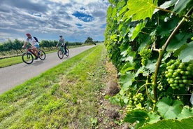 ブルノ発モラヴィア電動自転車とワインの日帰り旅行