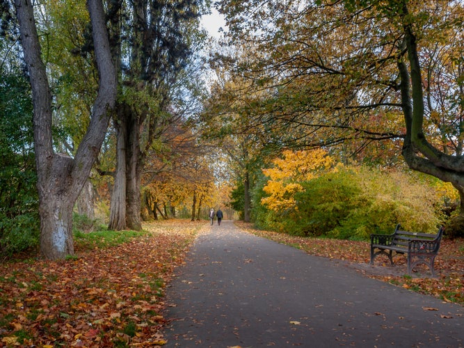 A tree lined path in a park in autumn in Worcester England with a couple walking away in the distance.